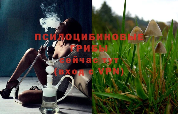крисы Осинники