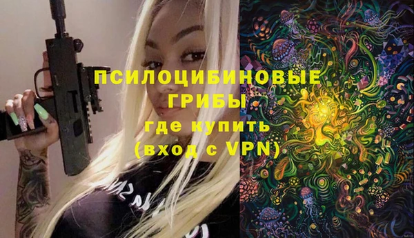 крисы Осинники