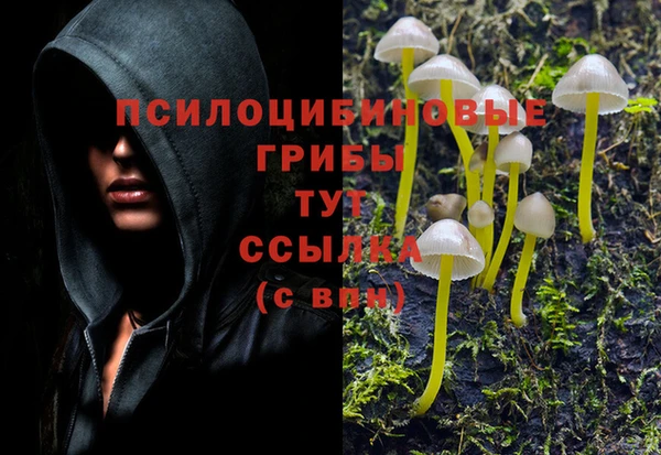 гидропоника Остров