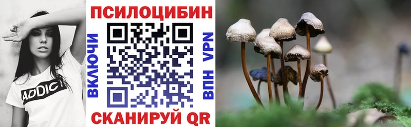 ОМГ ОМГ вход  сколько стоит  Чистополь  Галлюциногенные грибы GOLDEN TEACHER 