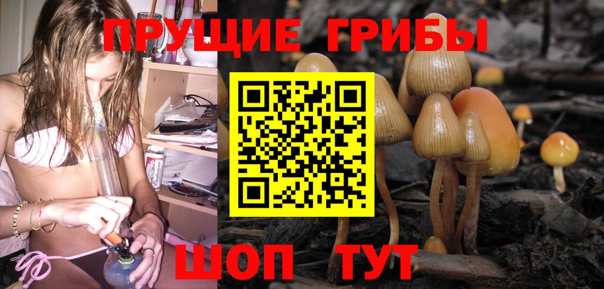 купить  цена  Вход с VPN  Чистополь  Псилоцибиновые грибы Psilocybe 
